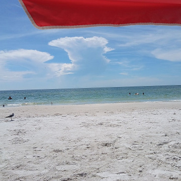 Photo from Drake W.