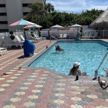 Photo from Joanie C.